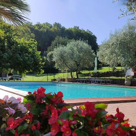 Atmospheric Apartment In Authentic House Near Beautiful Sasso Pisano エクステリア 写真