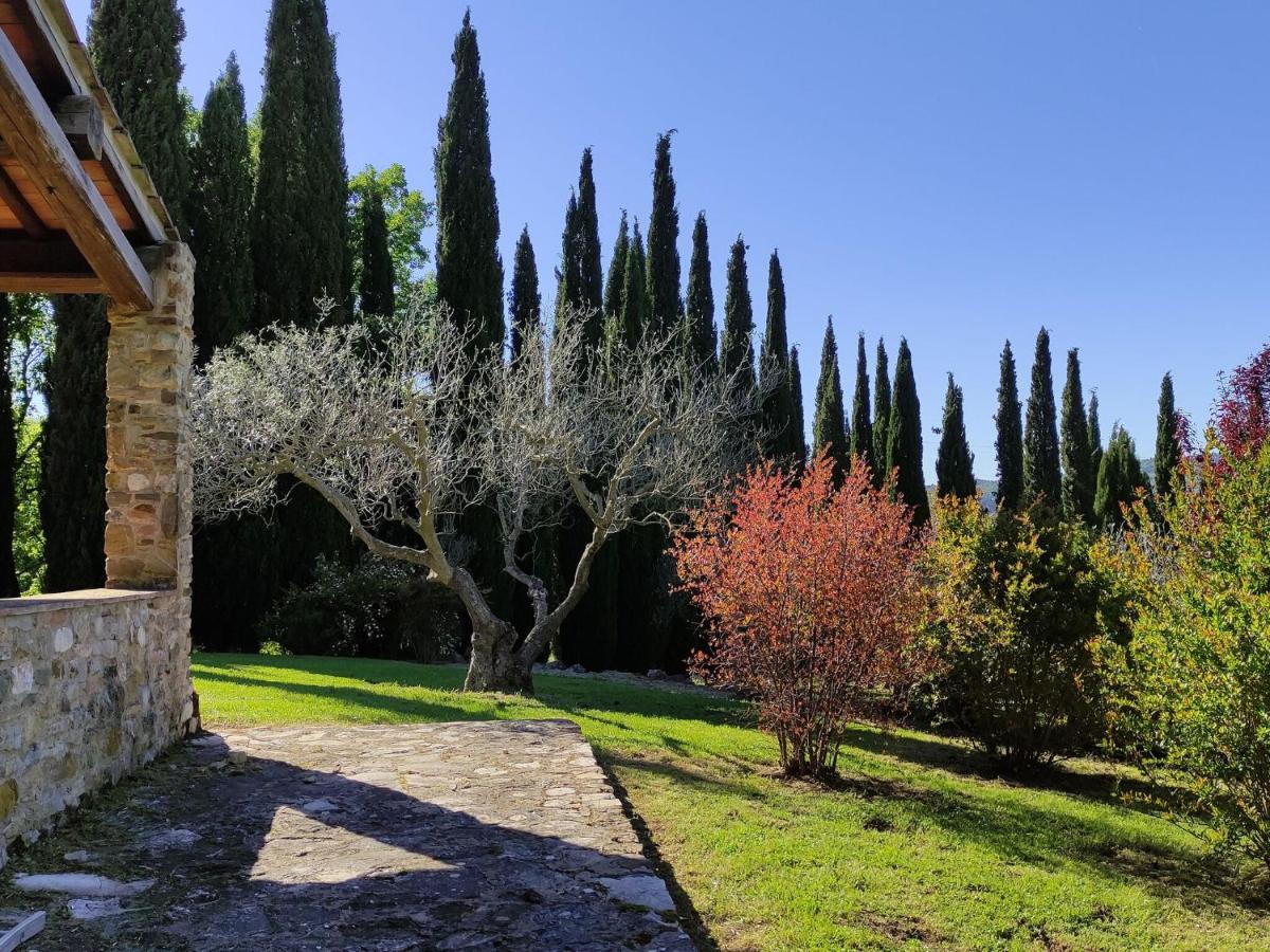 Atmospheric Apartment In Authentic House Near Beautiful Sasso Pisano エクステリア 写真