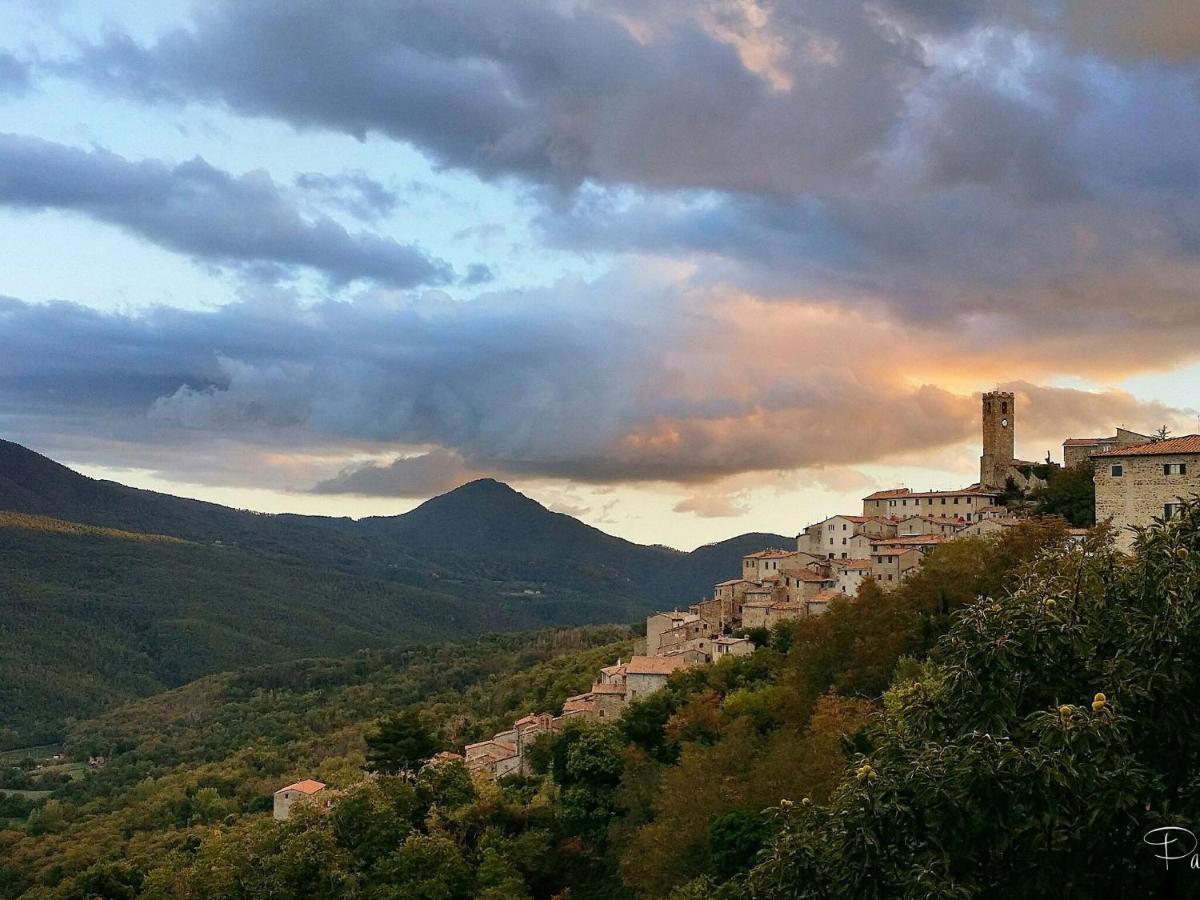 Atmospheric Apartment In Authentic House Near Beautiful Sasso Pisano エクステリア 写真